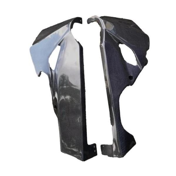 Carbon Variasi カーボンバリアシ Undercowl ZX-25R KAWASAKI カワサキ