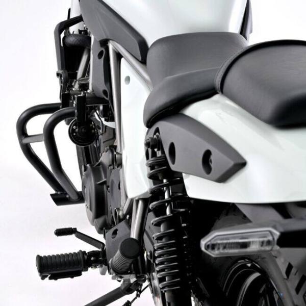 DAYTONA �f�C�g�i �p�C�v�G���W���K�[�h ELIMINATOR SE KAWASAKI �J���T�L �G���W���K�[�h �t���[�� ���i�摜2