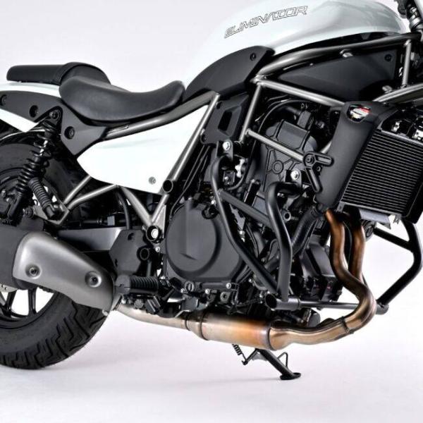 DAYTONA �f�C�g�i �p�C�v�G���W���K�[�h ELIMINATOR SE KAWASAKI �J���T�L �G���W���K�[�h �t���[�� ���i�摜5