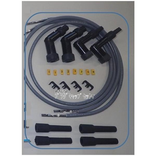 ※詳細な出荷時期はご注文後にメールでご案内します。■商品番号02658■JANコード4580578515459■商品概要2Pコネクタ圧着済コード1m×2、プラグキャップ×4、コードマーカー、クランプ付