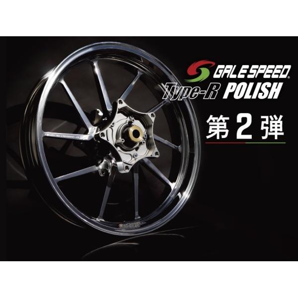 GALE SPEED ゲイルスピード 【限定品】【TYPE-R 前後セット