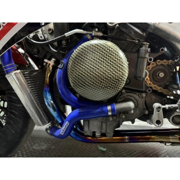 EIGHT(才谷屋) エイト(サイタニヤ) エンジンプロテクター 左側 タイプ：表面クリアー VFR400 RVF400 HONDA ホンダ エンジンガード フレーム
