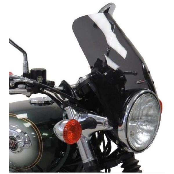 Odax（オダックス） PowerBronze ネイキッドスクリーン タイプ3 カラー