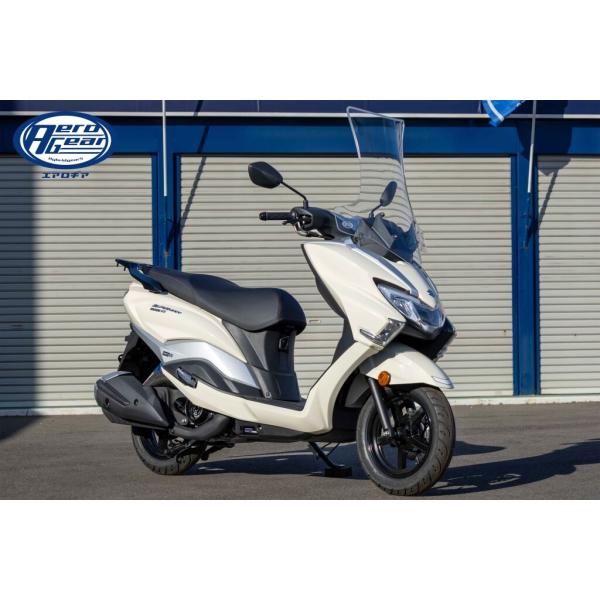 AERO GEAR エアロギア エアロロングスクリーン バーグマンストリート