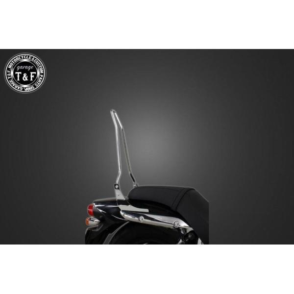 Garage T＆F ガレージ 純正フェンダー専用シーシーバー カラー：メッキ