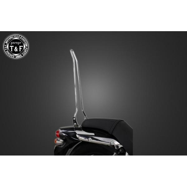 Garage T＆F ガレージ 純正フェンダー専用シーシーバー カラー：メッキ