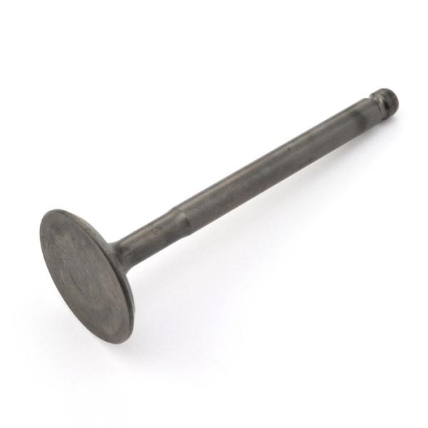 DAYTONA fCgi ynCp[wbhCizEXou (22mm) GWouEzrCou GWp[c GW