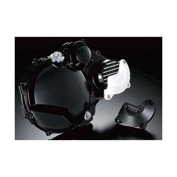 AGRAS AOX [VOXC_[ J[FWR/zCg ZRX1100 ZRX1200 KAWASAKI JTL GWXC_[Et[XC_[ t[