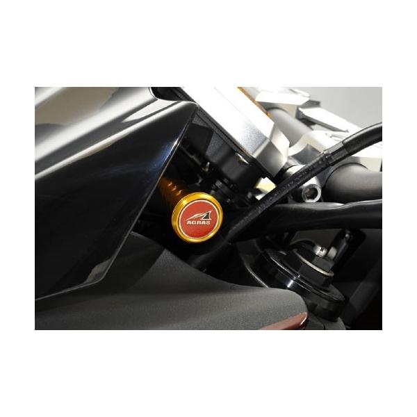 AGRAS AOX `gAbvmu J[Fu[ Z1000 () KAWASAKI JTL ̑[^[IvVECi [^[ECWP[^[֌W dn