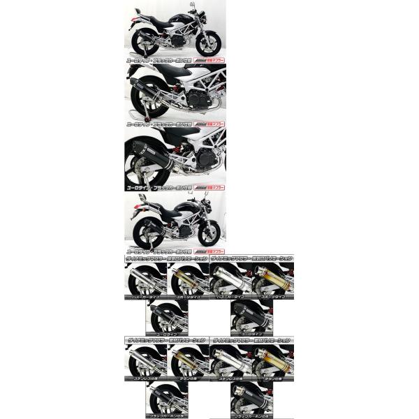 WirusWin ECYEB _Ci~bN}t[[^CvJMCA VTR250 HONDA z_ tGL][Xg}t[ }t[