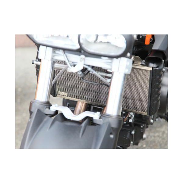 Sasaki sports club TTLX|[cNu `^WG^[K[h F800S F800ST F800R F800GS F650GS (2C) F800GT F700GS BMW p֘A GW