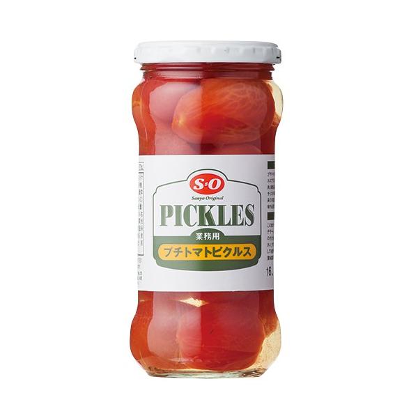 NX}X 2025 a Mtg ƖXpB SO v`g}g sNX (r)F370g (79-0)