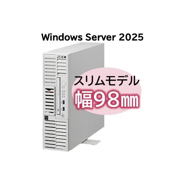 [Release date: June 26, 2025]NEC NP8100-3024YP6YExpress5800/D/T110m-S Xeon 6315P 4C/16GB/SATA 2TB*2 RAID1/W2025/タワー 3年保証...