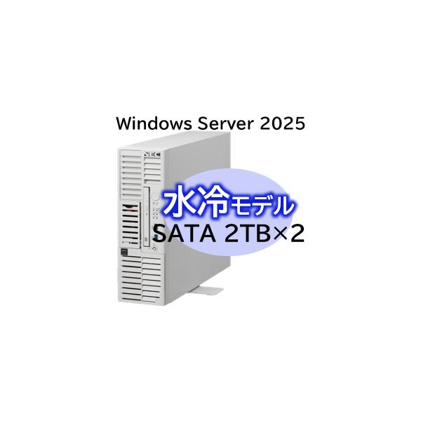 [Release date: June 26, 2025]NEC NP8100-3025YP4YExpress5800/D/T110m-S 水冷モデル Xeon 6315P 4C/16GB/SATA 2TB*2 RAID1/W2025/タワ...