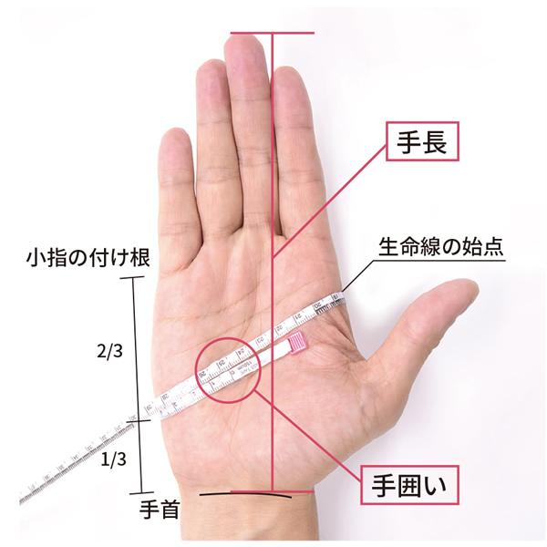 websports_35818_4_d_20221124164020