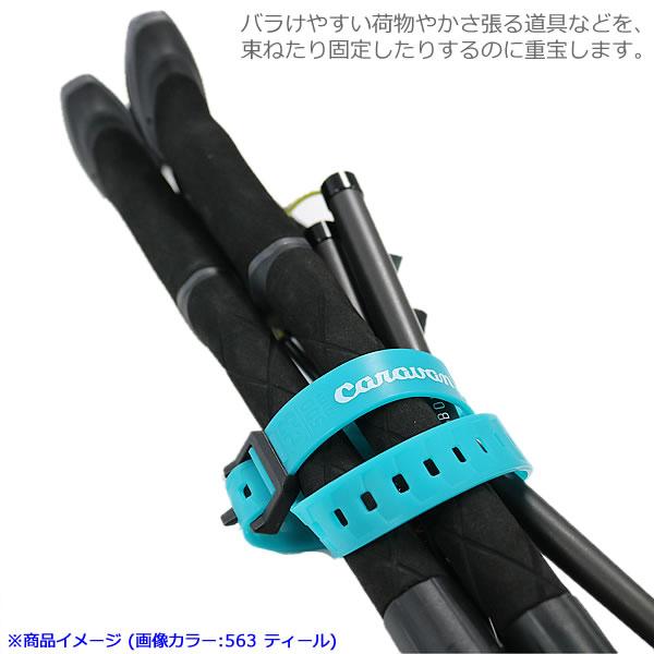 websports_56520_4_d_20260110152006