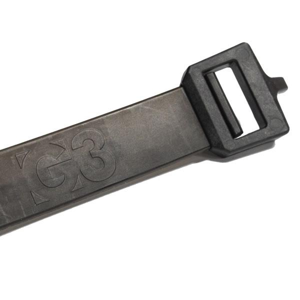 websports_56520_5_d_20260110152008