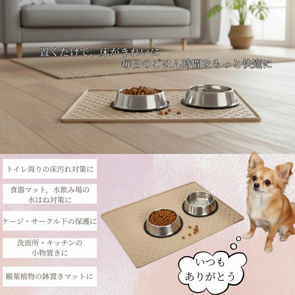 wecar_life-0127_4_d_20260220165331