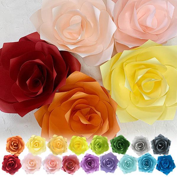 WCAgt[ Lbg [Y MTCY Ԍa30cm J[22FisNACG[j \ĉ؂₩ȃEH[fR y[p[t[