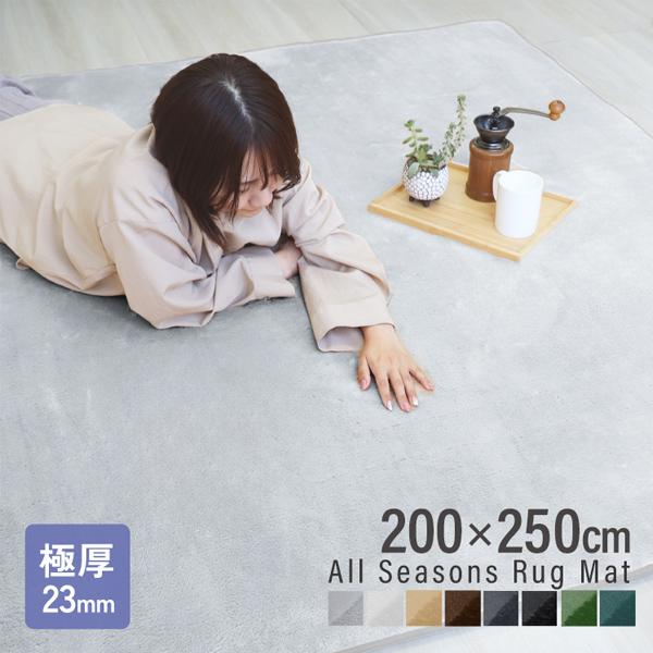 ラグ カーペット 低反発 ラグマット 200x250cm 約3畳 厚手23mm 洗える