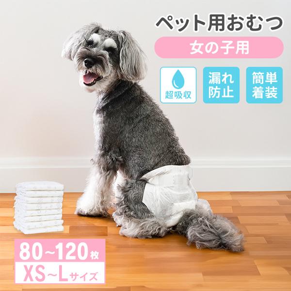 大切な愛犬の快適な毎日をサポートする、女の子向け犬用ペットオムツ（紙タイプ）が登場！メス用は女の子の体型にフィットするように設計されており、おしっこや生理時のトラブルをしっかりガード。お出かけや室内でのマナー対策はもちろん、マーキング防止や...