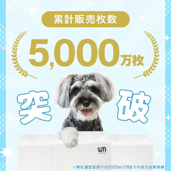 weimall_psar1200_1_d_20251223124059