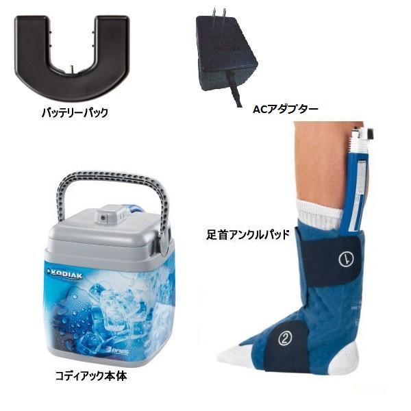 BREG ポーラケア コディアック(電動式ポータブルアイシングシステム ...