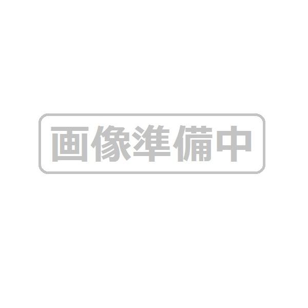 電極プレート(6極)(低濃度オゾン発生装置Airness Pocket(エアネス
