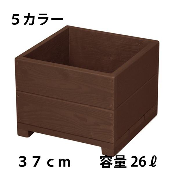 Welcome Wood ؐv^[ 12 Aؔ H12S@F͂TFI@Jo[ƂĂ֗ eʁE26bg@