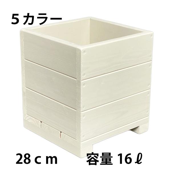 Welcome Wood ؐ9 Aؔ H9D@F͂TFI@eʁE16bg @ȐAؔ@]|h~̔Jo[ɂ