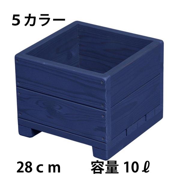 Welcome Wood ؐX ^ Ebhv^[H9S@F͂TFI eʁE10.8bg@ȐAؔ