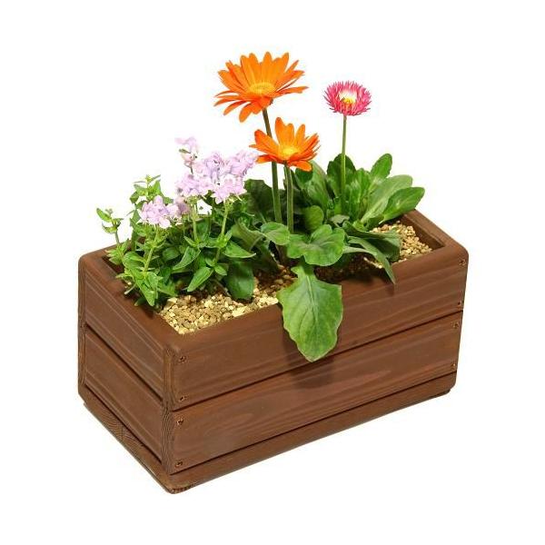 Welcome Woodのプチ寄せ植えプランターJPM28-CB 色はカフェブラウン　容量・約4.5リットル　(ナチュラル 木製プランター）