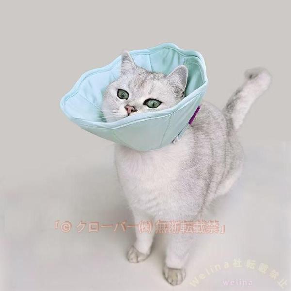 【多機能】犬?猫の皮膚病、避妊?去勢手術、かゆみ、赤みや手術の回復過程等で、傷口を舐めたり、噛んだりする行為を防ぐ機能に加え、爪切りや入浴の際などにもご活用頂けます。検索ワード：ソフト 軽量 猫 術後ケア 傷舐め防止 引っ掻き防止 爪切り ...