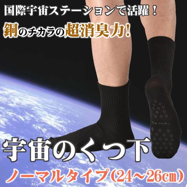消臭 制菌 保温 セイホウ 宇宙の靴下 ノーマルタイプ 24 26cm メール便で送料無料 Sh Wc ウェルキューブ 通販 Yahoo ショッピング