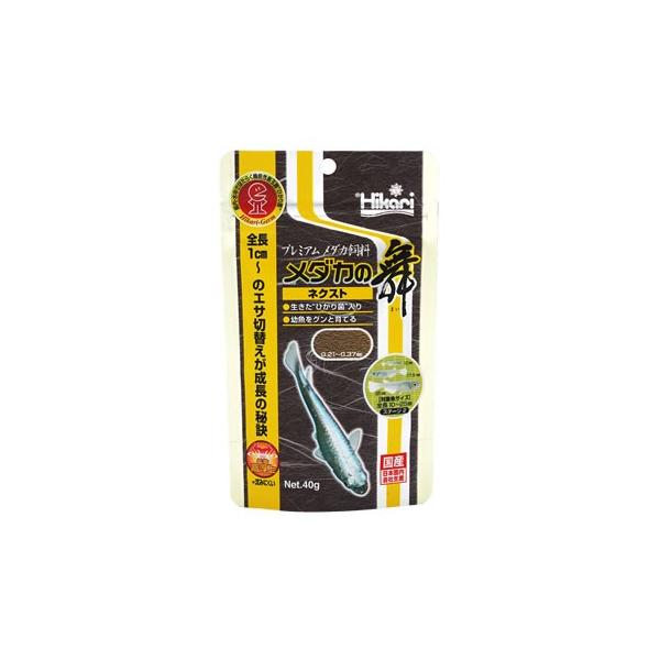 L[@Ђ@_J̕@lNXg@(40g)@߂@GT