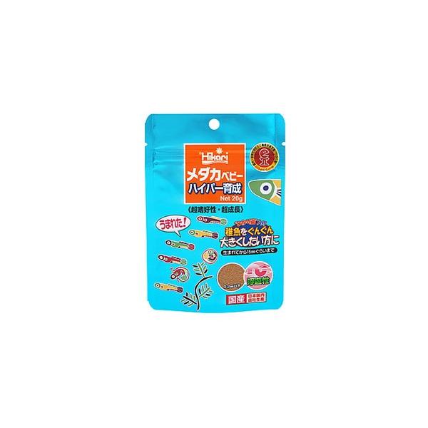 L[@Ђ@_Jxr[@nCp[琬@(20g)@߂@tp@GT