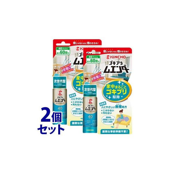 sZbg̔t@ KINCHO L`E SLuG_[ 40vbV (20mL)×2Zbg@yhp򕔊Oiz@