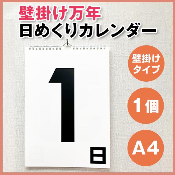 万年日めくりカレンダー｜壁掛け A4 リングタイプ 1ヶ月を何度も