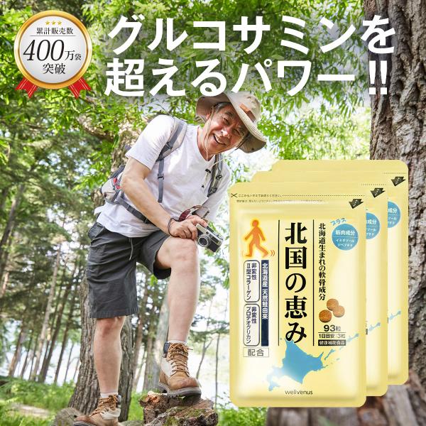 コンドロイチンやグルコサミンはふしぶし対策成分として有名ですが、「プロテオグリカン」は実はこれらの成分が組み合わさって出来ており、関節の構成成分として近年注目されています。●商品詳細名称：鮭鼻軟骨抽出物加工食品原材料名：還元麦芽糖水飴、デキ...