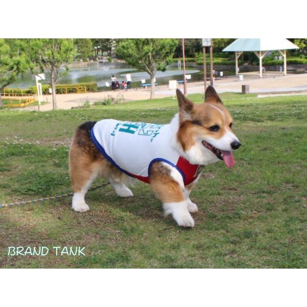 クールウェア コーギー服 中型犬服 熱中症予防 ブランドタンクトップ Bt001 Welsh Gear 通販 Yahoo ショッピング