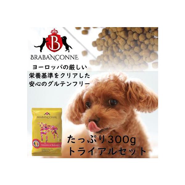 ドッグフード 犬用 たっぷり お試し 300g トライアル 無添加 ブラバンソンヌ 小粒 ドライ 犬 餌 消化器ケア 尿路ケア 腎臓ケア グルテンフリー グレインフリー
