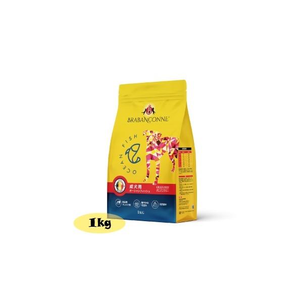 uo\k ^ ^ p OCt[ hbOt[h I[VtBbV 1kg  PA AHPA tPA Y Oet[