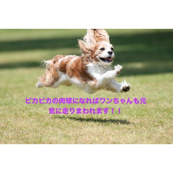 肉球クリーム 犬 犬用 足裏 保護クリーム 保湿 肉球 カサカサ ケア 角質 マッシャーズ シークレット 0g Buyee Buyee 日本の通販商品 オークションの代理入札 代理購入