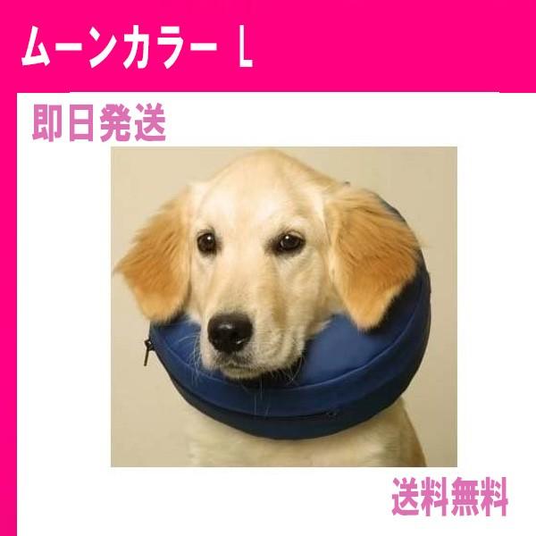 犬用 傷舐め防止 ムーンカラー Lサイズ 大型犬用 B005de51c0 サングラス メンズ ゴルフ Wrt 通販 Yahoo ショッピング