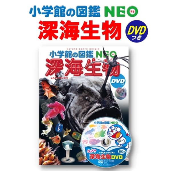 図鑑neo みんな探してる人気モノ 図鑑neo