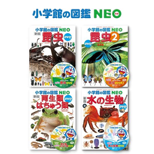小学館の図鑑NEO DVDつき 昆虫・昆虫2・両生類はちゅう類・水の 