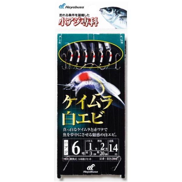 HAYABUSAnuT@ AWȁ@PCGr@ HS202@TrLނd|