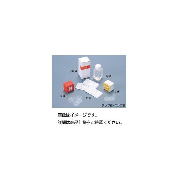 （まとめ）スンプ板 B板（30枚）〔×20セット〕