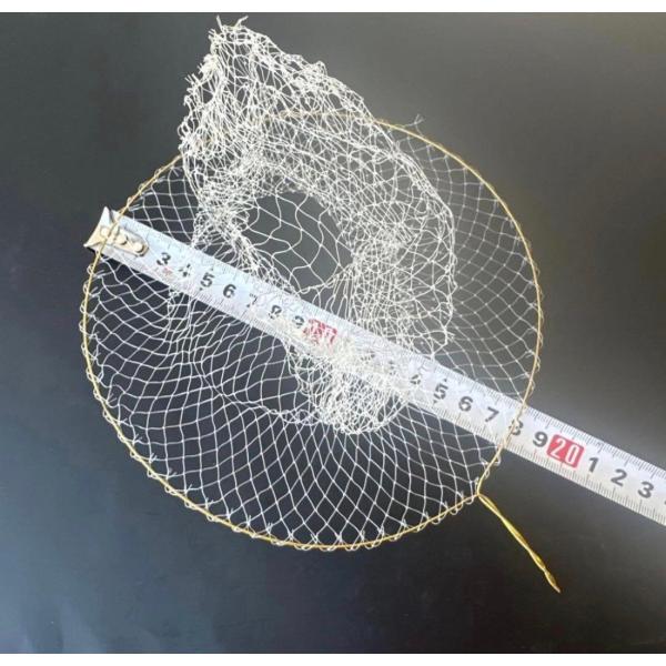 手長エビや小魚や虫などに　網 直径約18ｃｍ　10枚セット