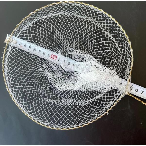手長エビや小魚や虫などに　網 直径約24ｃｍ　10枚セット